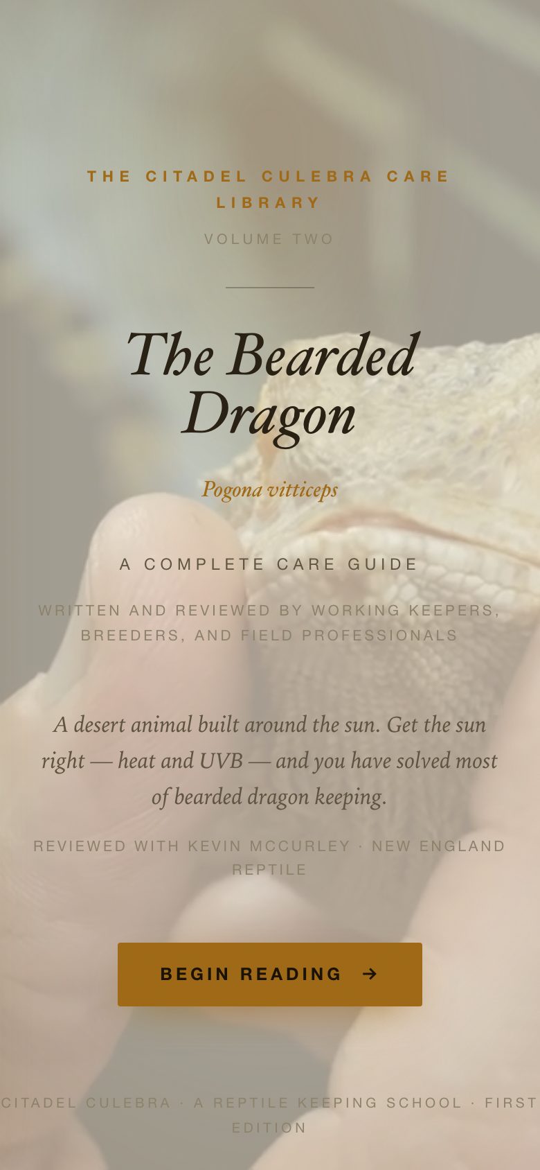 The Bearded Dragon guide, open in the cinematic reader
