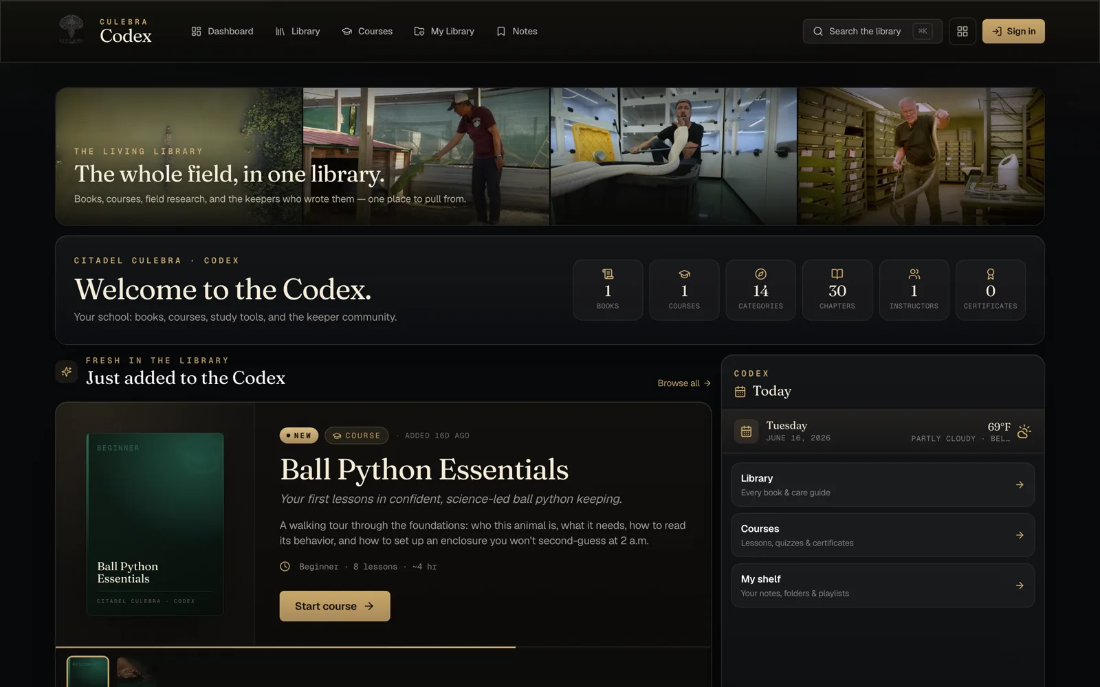 The Codex preview