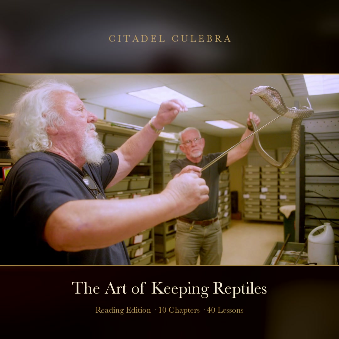 The Art of Keeping Reptiles — cover